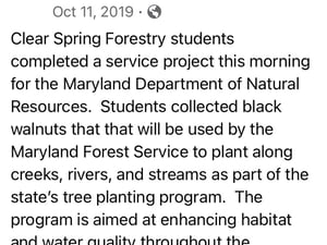 Black walnut 10-11-2019.